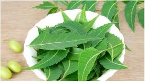Neem Leaves Treatment
